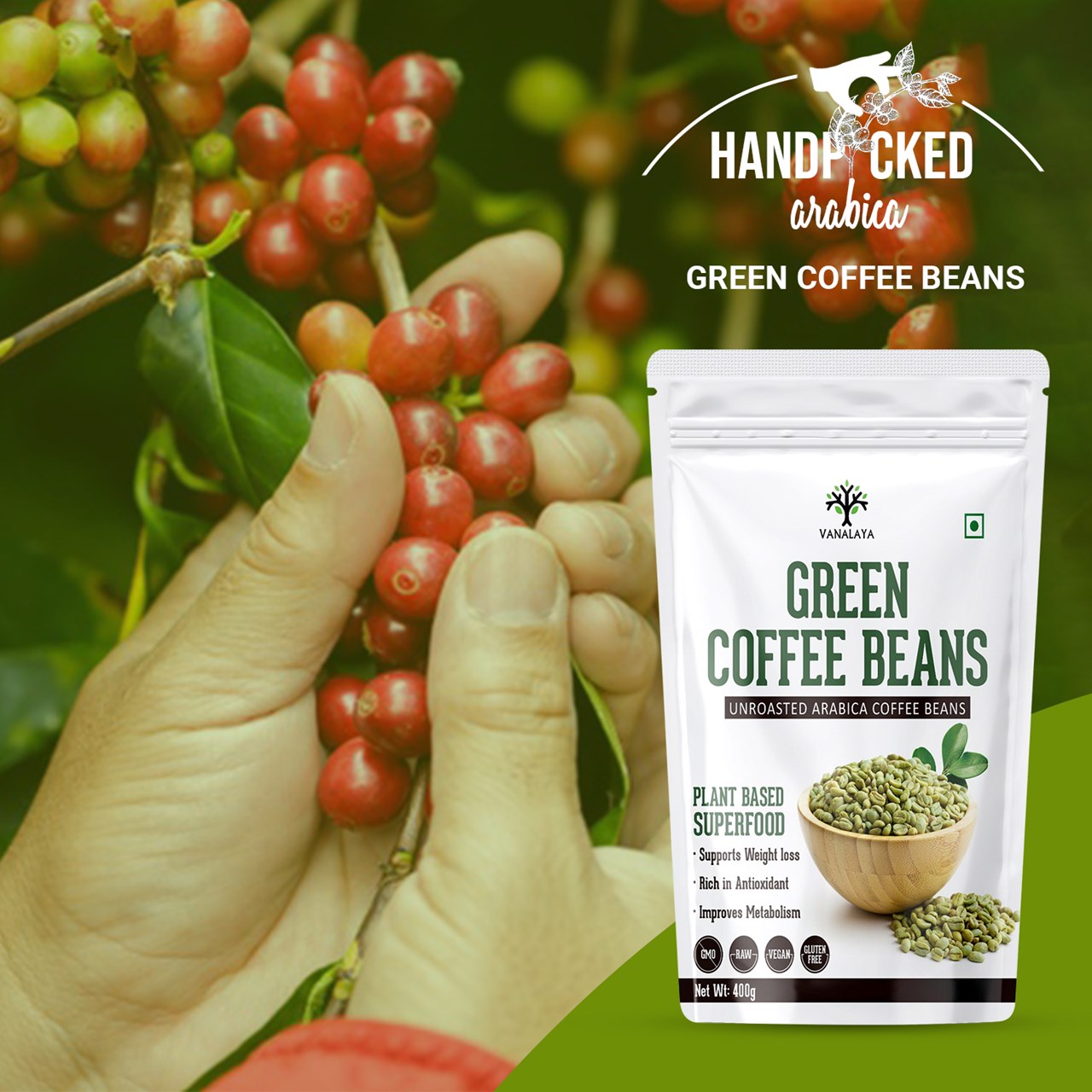 Picture of Vanalaya Green Coffee Bean Unroasted Arabica Organic Pure and Natural For weight loss Improve Energy Focus and Mood - 400gm