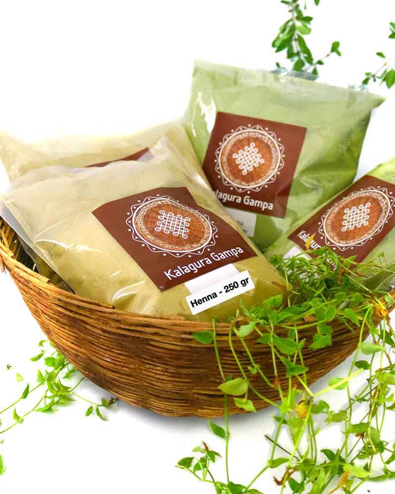 Picture of Kalagura Gampa Henna Leaves Powder, Indigo Leaves powder Combo(250gm+250gm)