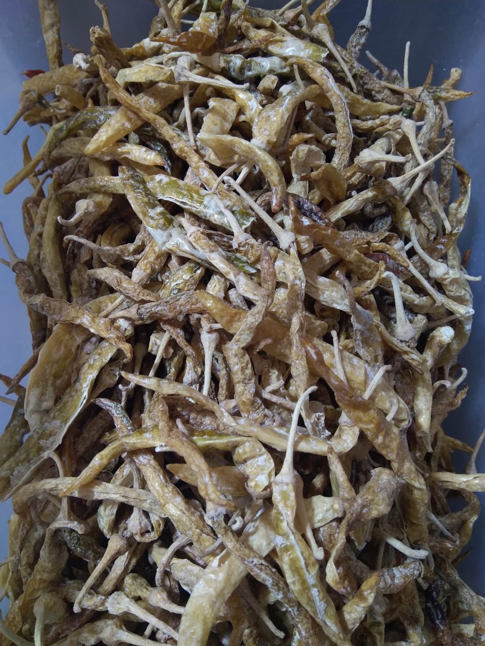 Show details for Sanathan Ahar Challa Oora Mirapakayalu /  Challa Mirchi  250 grams Picture of Sanathan Ahar Challa Oora Mirapakayalu /  Challa Mirchi  250 grams
