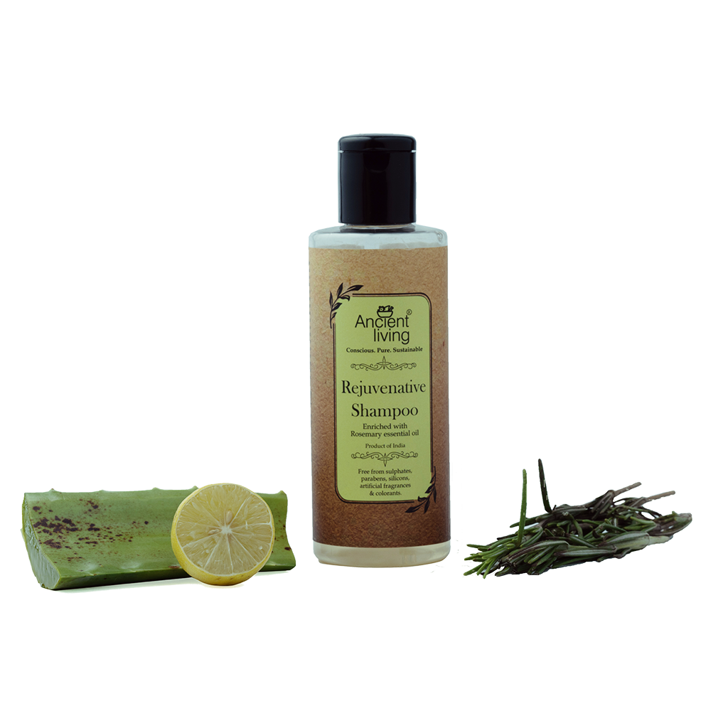 Show details for Ancient Living Rejuvenative Shampoo - 50 ml Picture of Ancient Living Rejuvenative Shampoo - 50 ml
