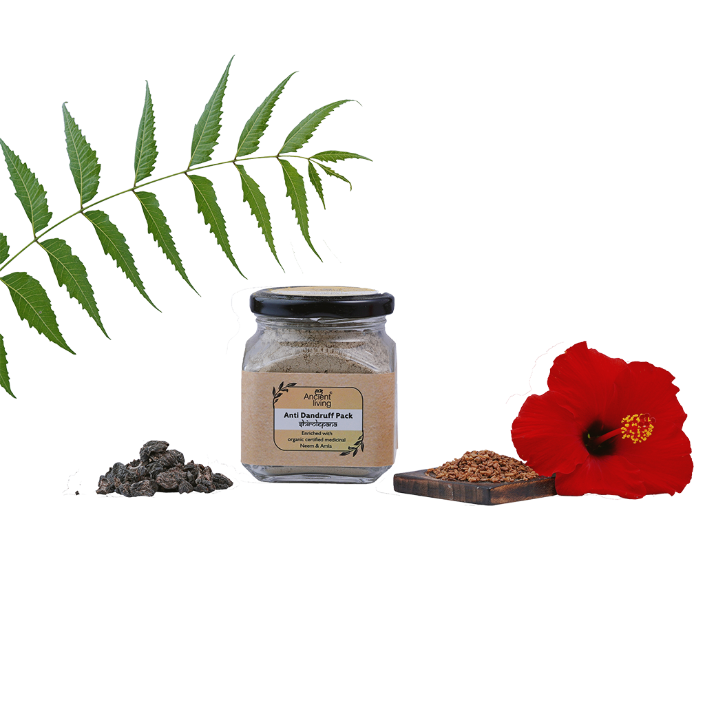 Show details for Ancient Living Anti Dandruff Pack - Jar -100ml Picture of Ancient Living Anti Dandruff Pack - Jar -100ml