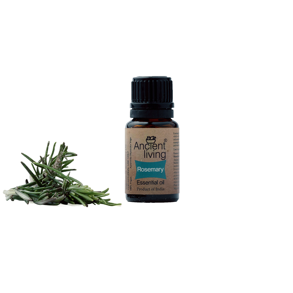 Show details for Ancient Living Rosemary Essential Oil - 10 ml Picture of Ancient Living Rosemary Essential Oil - 10 ml