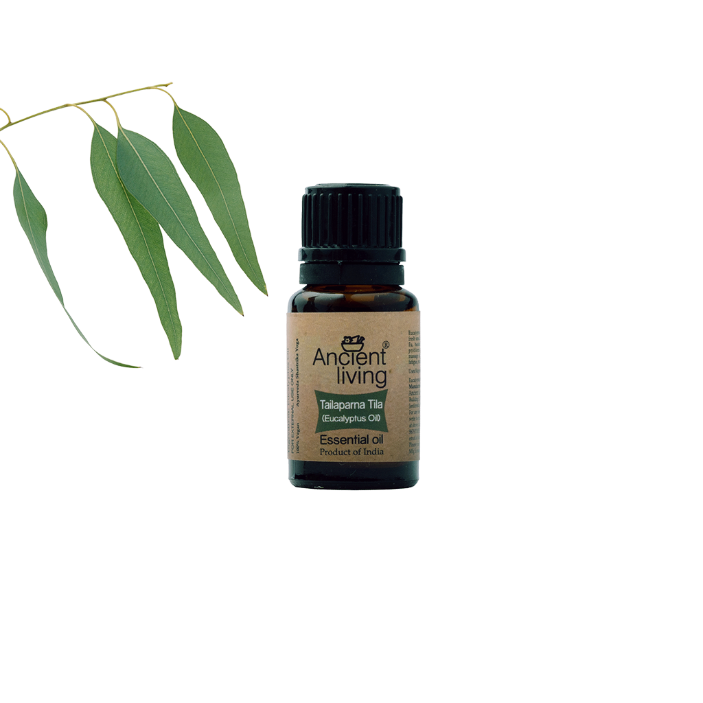 Show details for Ancient Living Eucalyptus Essential Oil - 10 ml Picture of Ancient Living Eucalyptus Essential Oil - 10 ml