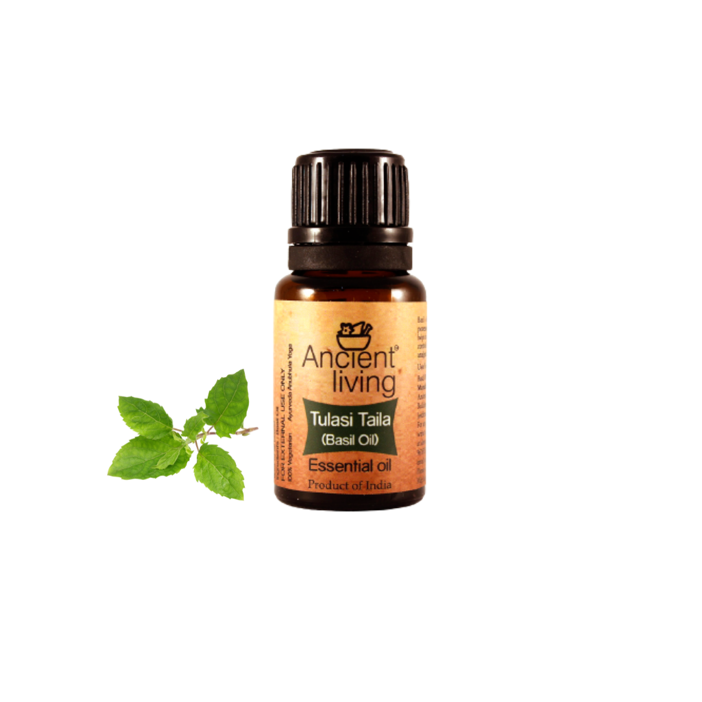 Picture of Ancient Living Basil Essential Oil-100ml