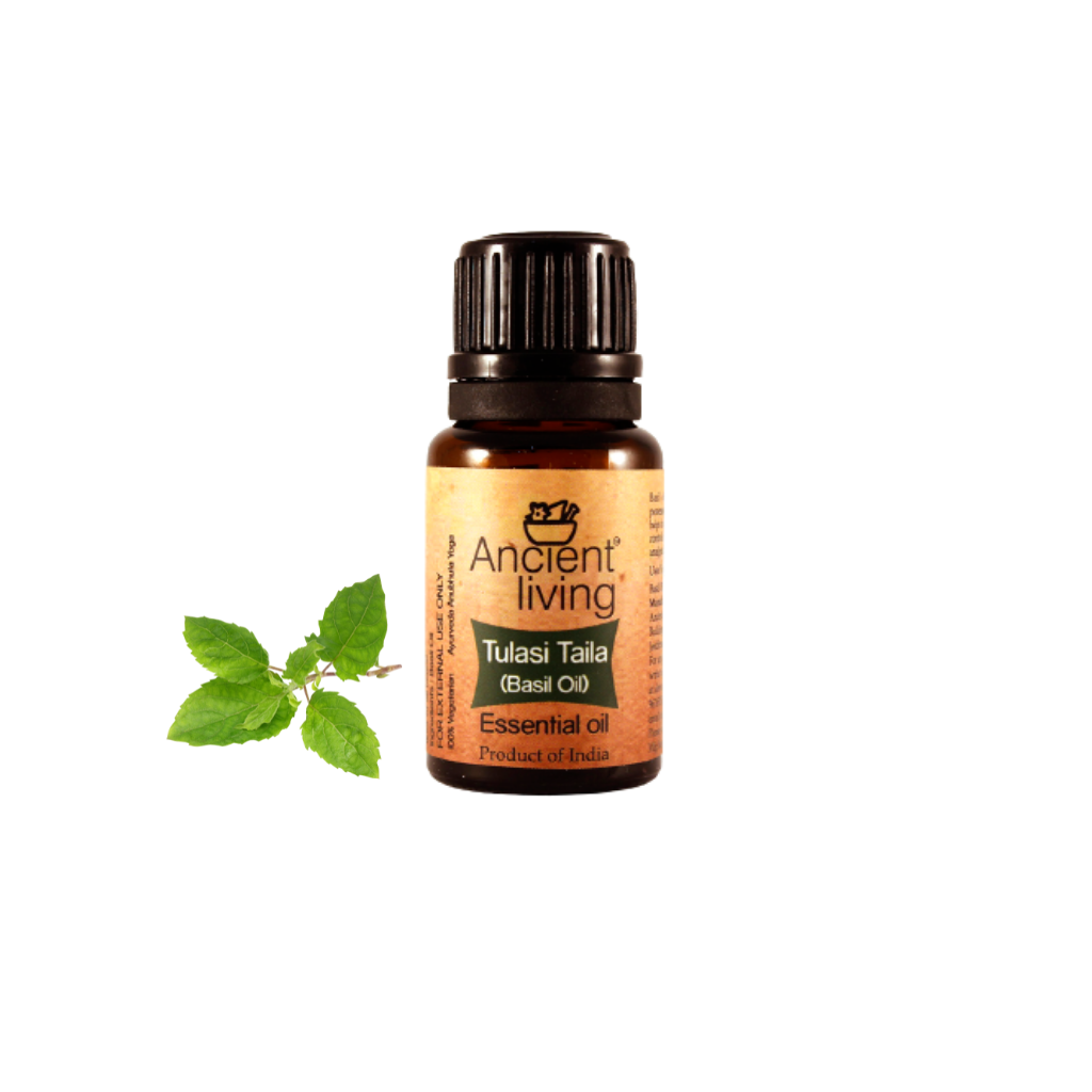 Show details for Ancient Living Basil Essential Oil-100ml Picture of Ancient Living Basil Essential Oil-100ml
