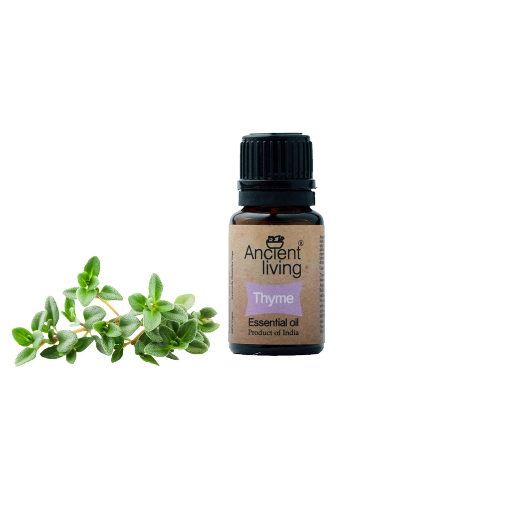 Picture of Ancient Living Thyme Essential Oil - 10 ml