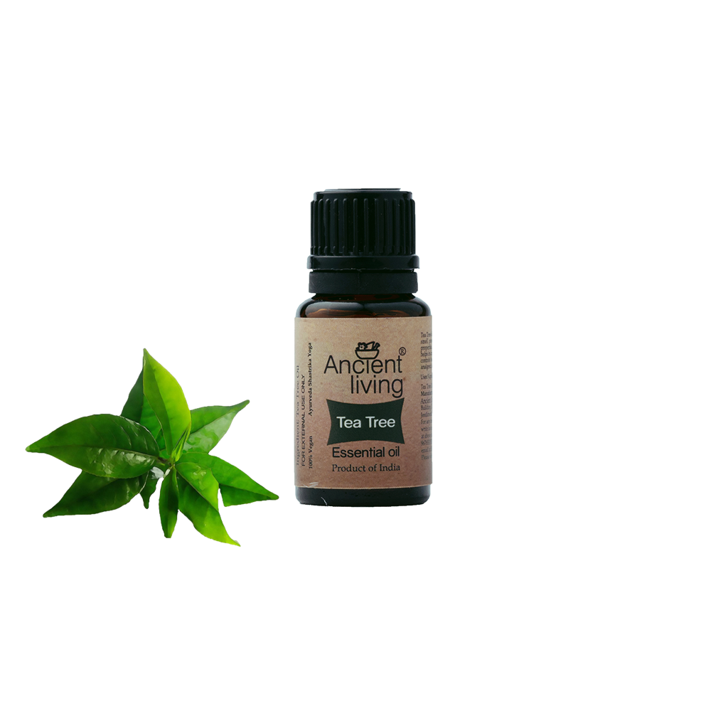 Show details for Ancient Living Tea Tree Essential Oil - 10 ml Picture of Ancient Living Tea Tree Essential Oil - 10 ml