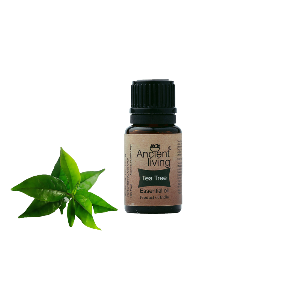 Picture of Ancient Living Tea Tree Essential Oil - 10 ml