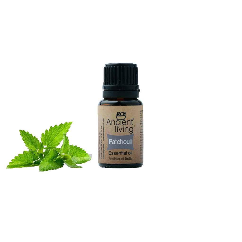Picture of Ancient Living Patchouli Essential Oil - 10 ml