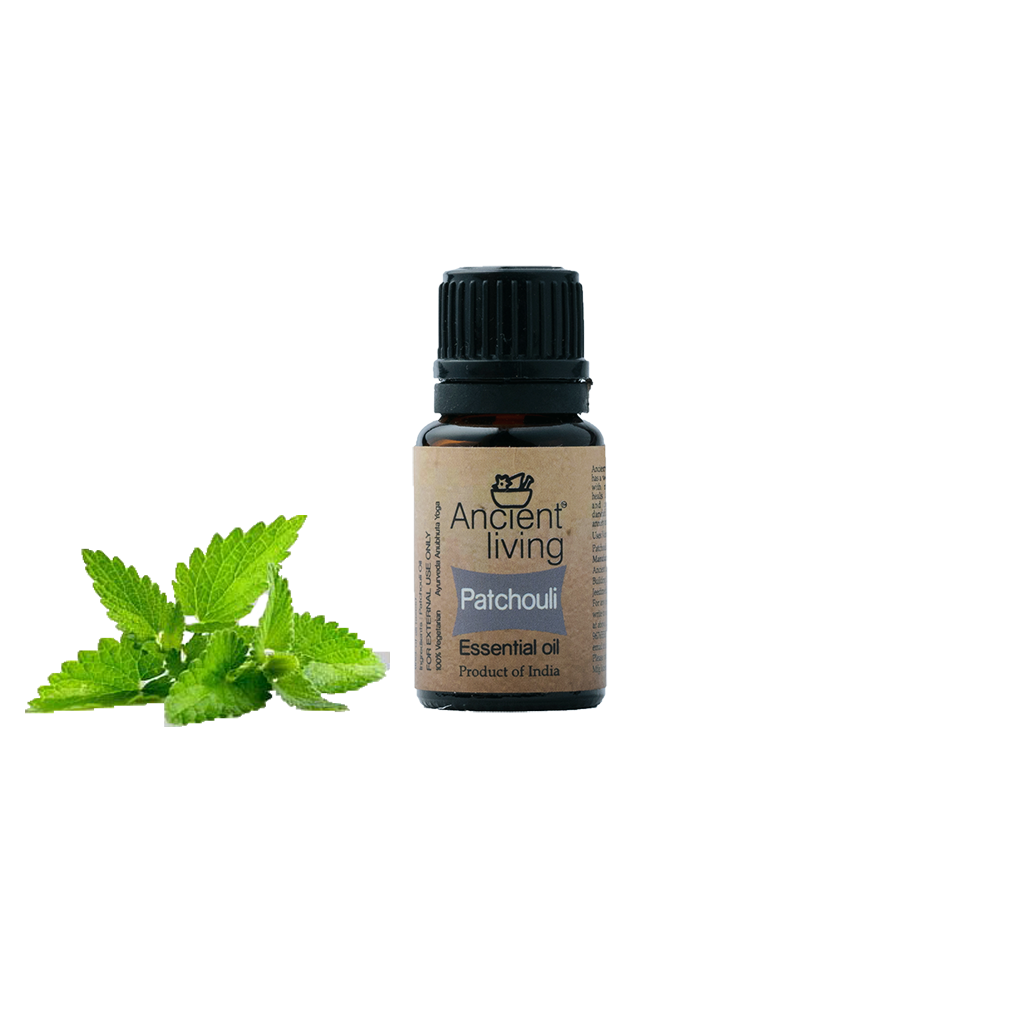 Show details for Ancient Living Patchouli Essential Oil - 10 ml Picture of Ancient Living Patchouli Essential Oil - 10 ml